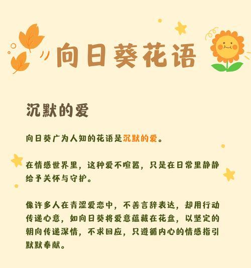 太阳花花语是什么意思？它代表了哪些美好寓意？
