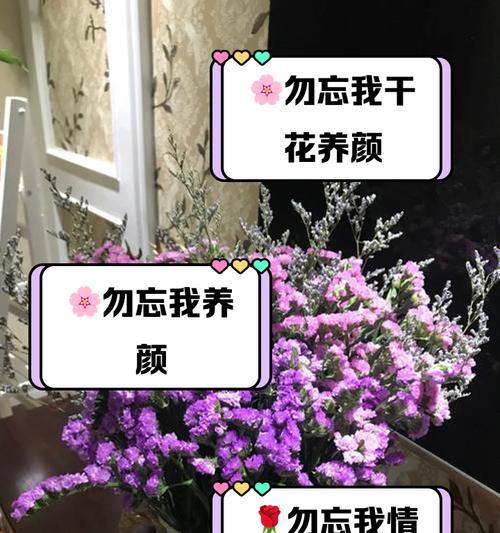 美好回忆的花语是什么？
