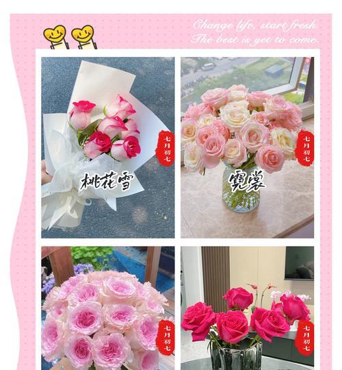 盒里栽花代表什么？花语和寓意有何深意？