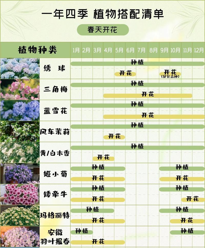 每种花的特性与花语有何关联？