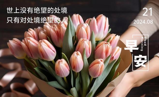 郁金香的绝望花语是什么？