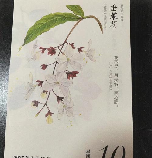雨露花语代表了什么？