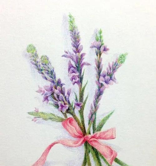 暗示救赎的花语是什么意思？康乐果的花语又是什么？