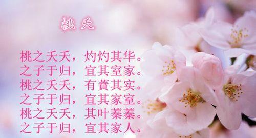 桃花的花语诗句有哪些？桃花在花语中扮演什么角色？