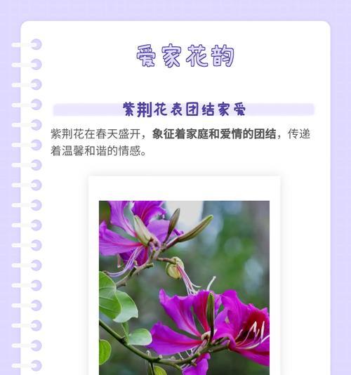 哪种花的花语是埋葬的爱情？它在花语中象征着什么？