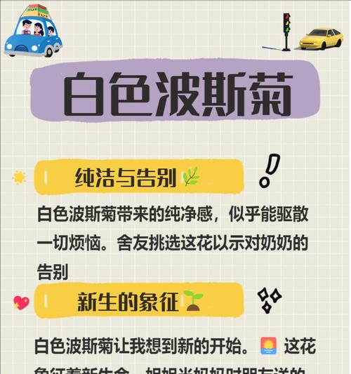 纯洁美丽的花语通常指哪种花？