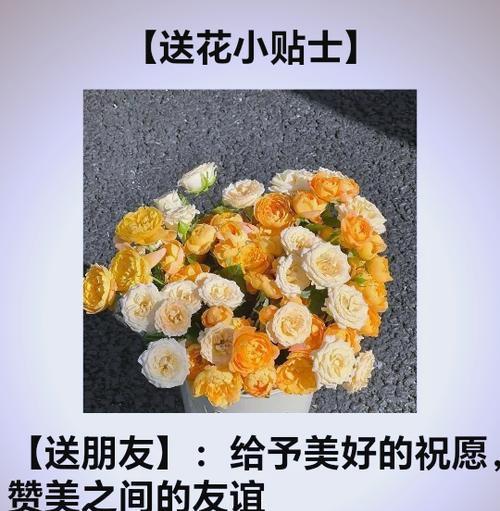 哪种玫瑰花代表友谊？它的花语有哪些含义？
