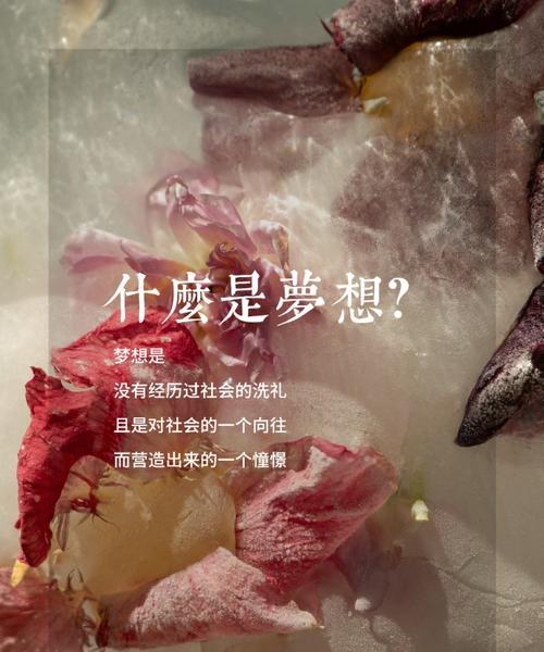 等待梦想的花语是什么意思？如何通过花语表达对梦想的期待？
