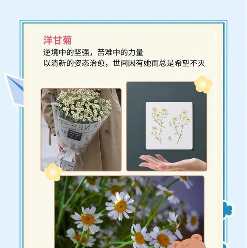 花语中的“帮忙”具体指什么？