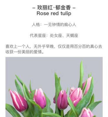 如何理解点赞过万的花语含义？