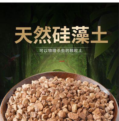 君子兰盆栽推荐使用哪种铺面石？