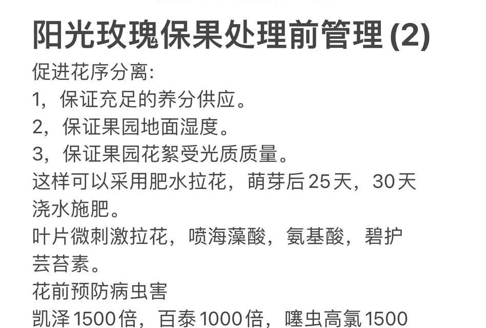 玫瑰花的日常养护和浇水方法是什么？如何避免病虫害？