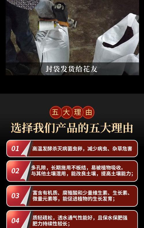 松针松果种植君子兰的步骤是什么？