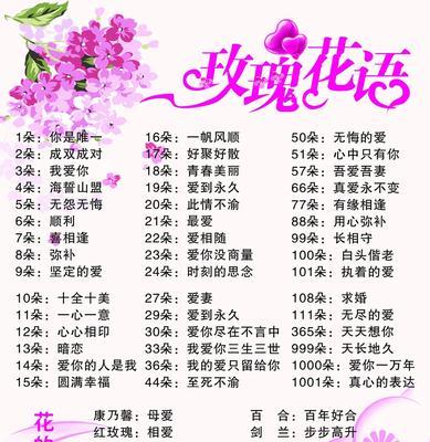 室内养玫瑰花的寓意是什么？