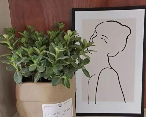 大号仙人掌花盆种植技巧有哪些？
