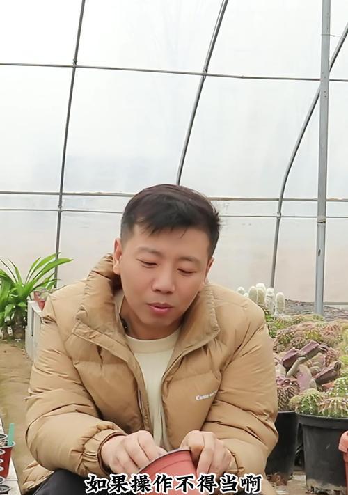 仙人球栽培过程中需要浇水吗？