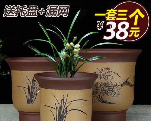 君子兰应该使用哪种花盆？