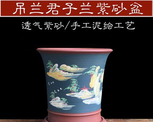 君子兰应该使用哪种花盆？