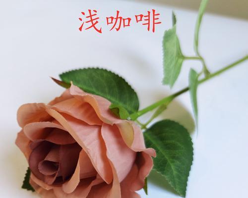 单枝玫瑰假花的养护技巧有哪些？如何使其保持长久？