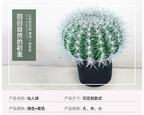 道具仙人掌树的种植方法有哪些？
