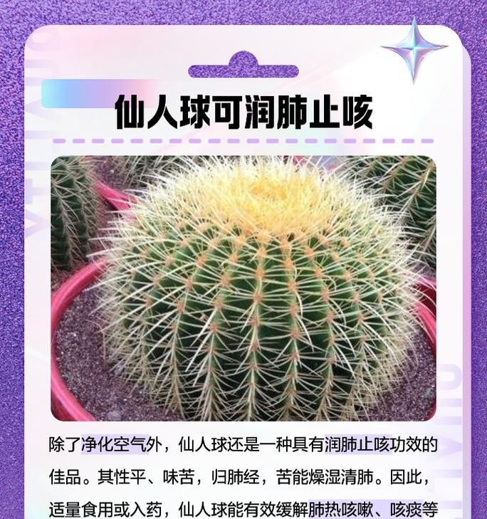 仙人球突然枯萎的原因及解决方法？