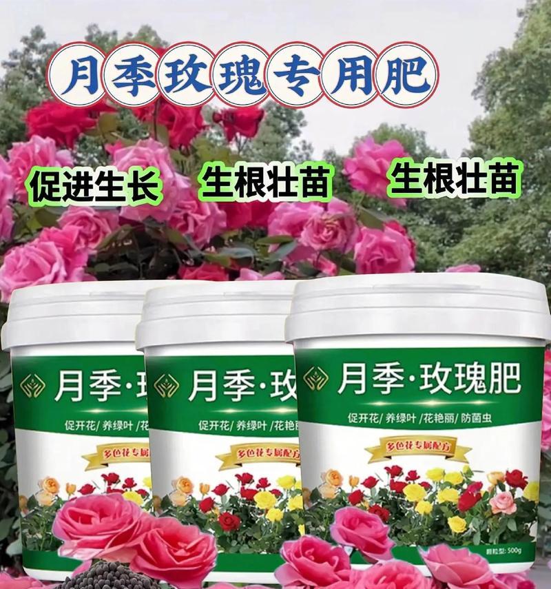 玫瑰花施肥的标准是多少？
