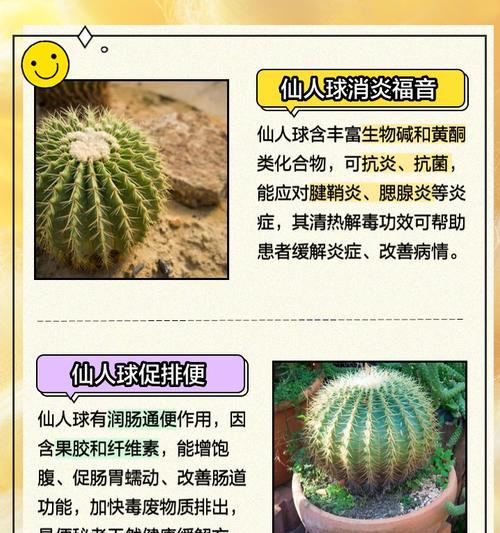 仙人球浇水技巧有哪些？