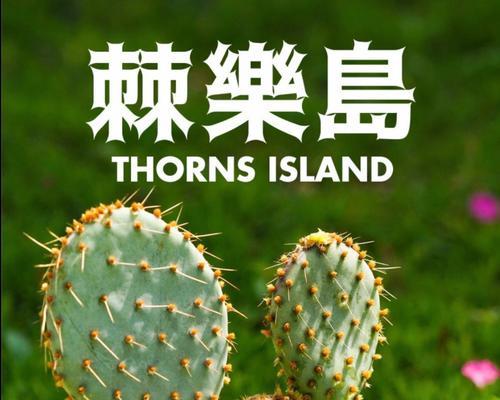 仙人球浇水技巧有哪些？