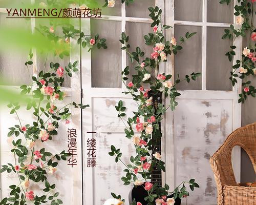 阳台上的玫瑰花拱门如何养护？有哪些特别的养护技巧？