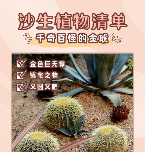 仙人球的刺如何变得粗大？有哪些养护技巧？