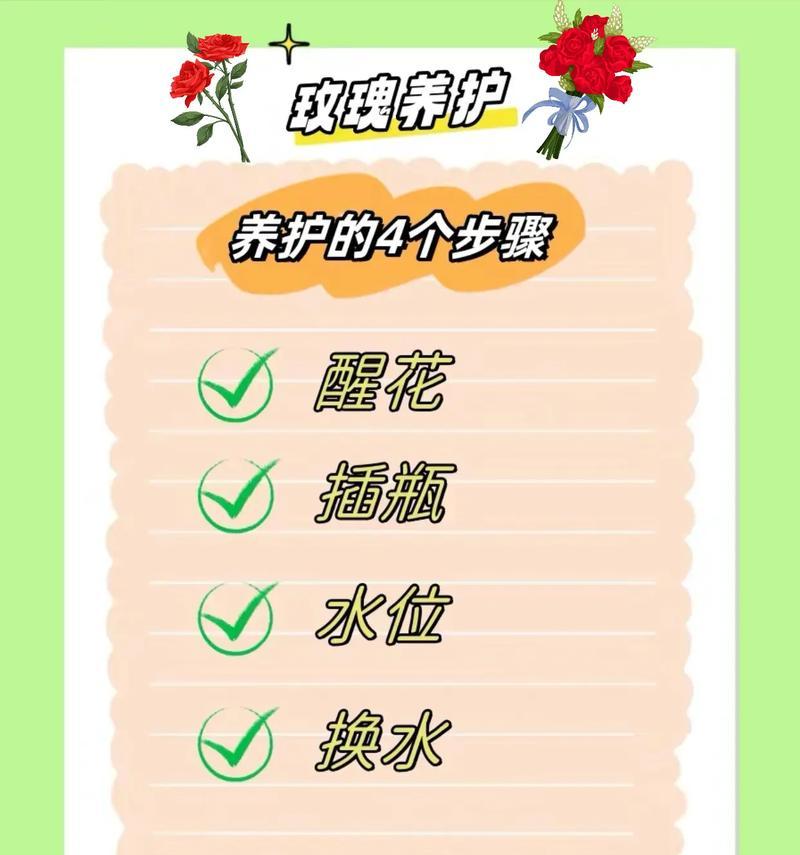 小树枝玫瑰花如何培养成大株？养护要点有哪些？