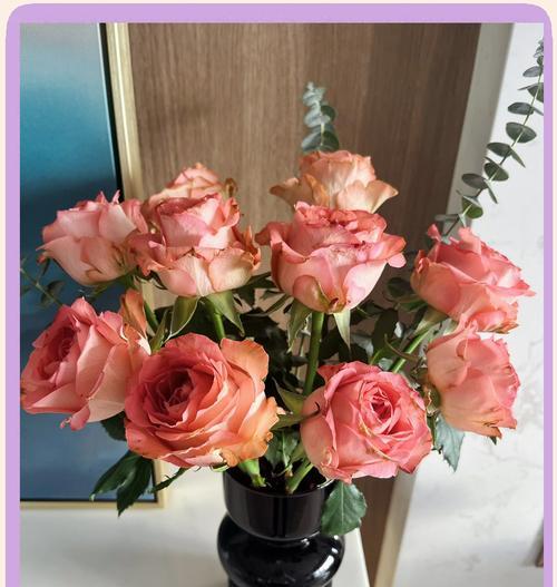 玫瑰花新花束的养护技巧是什么？