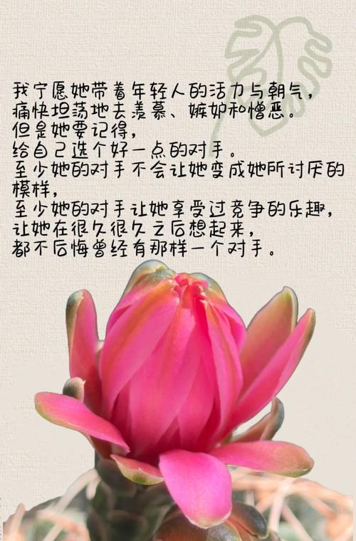 仙人球从小到大成长过程如何养护？