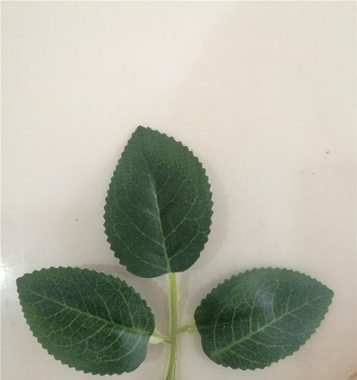 玫瑰花项链叶子修剪技巧是什么？