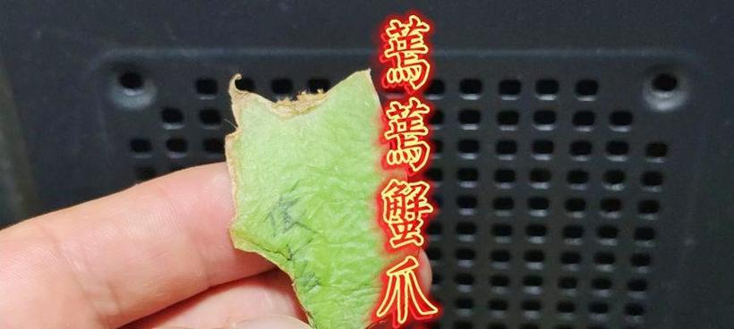 君子兰花朵蔫了是什么原因？