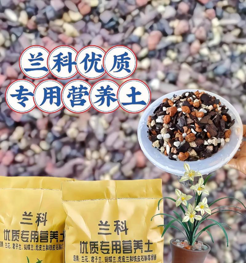 适合君子兰的肥料种类有哪些？