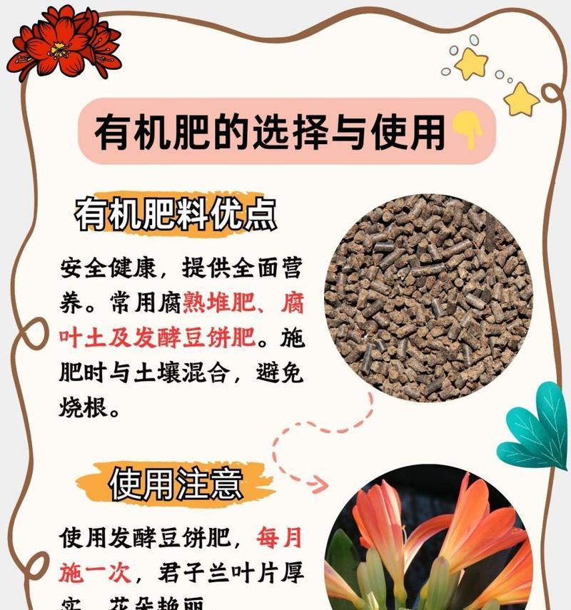 君子兰种植哪家强？如何选择最佳的养护方法？