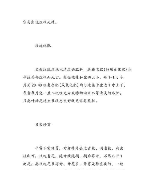 玫瑰花水繁殖的方法是什么？需要注意哪些事项？