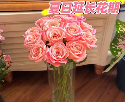 玉脂多头玫瑰花的养护技巧是什么？如何延长花期？