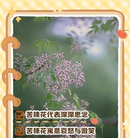 花语代表危险的树木是哪种花？