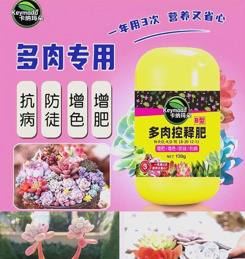 仙人球要放肥料吗怎么放？施肥的正确方式和频率是怎样的？