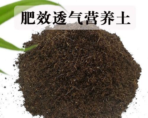 君子兰开花期需要什么肥料？施肥技巧有哪些？