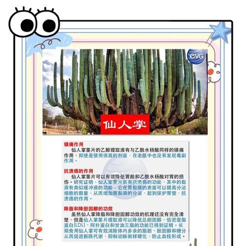 白水晶仙人掌怎么种植方法？有哪些步骤？