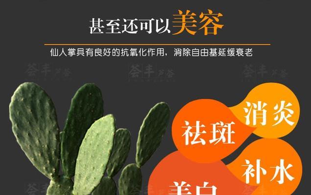 植物仙人掌移植方法是什么？