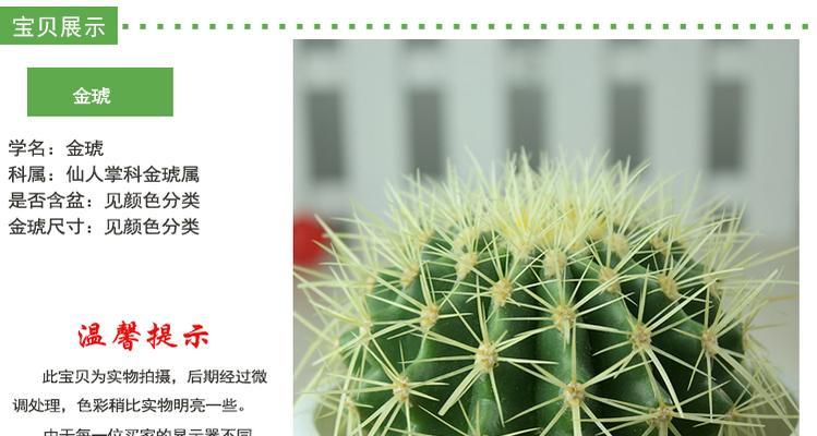 植物仙人掌移植方法是什么？
