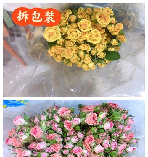玫瑰花插花技巧有哪些？怎样插出美丽的玫瑰花束？