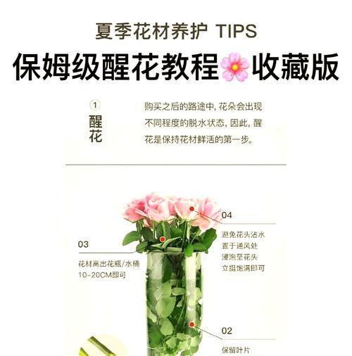 夏天如何养护可爱玫瑰花？需要注意什么？