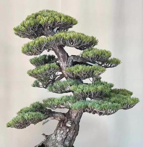 白牡丹仿真花如何保养？日常管理需要注意什么？