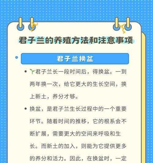 君子兰在书房养护需要注意什么？浇水频率是多少？