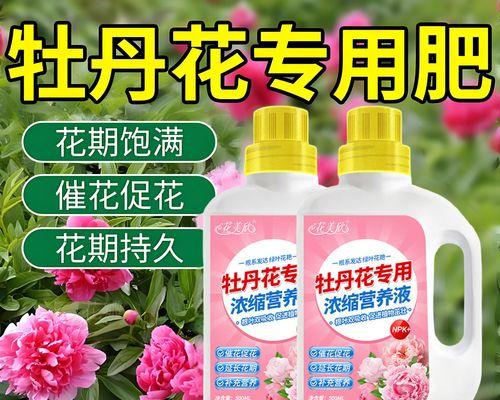 牡丹花施肥的最佳时机是什么时候？施肥时应注意什么？
